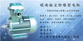 粉尘防爆电机 粉尘防爆电机