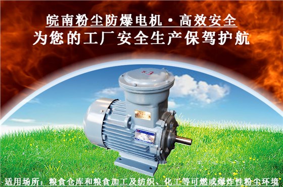 粉尘防爆电机 粉尘防爆电机