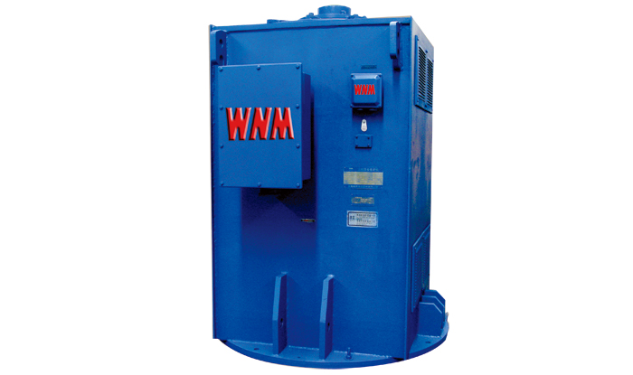 YL系列立式高压三相交流异步电动机 YL系列立式高压三相交流异步电动机