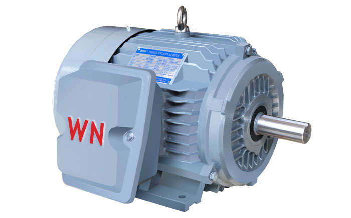 NE系列高效高转矩三相异步电动机 NE系列高效高转矩三相异步电动机